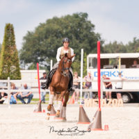 horsemandays_actueel_traditionele-working-equitation_trec-club-nederland-2